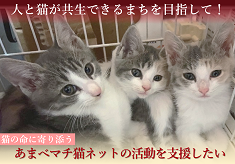 GCF人と猫が共生できるまちづくり
