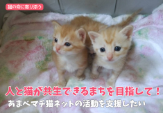 	GCF人と猫が共生できるまちづくり
