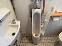 wc2