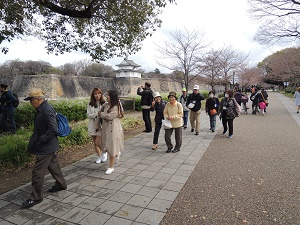 ウォーキングイベント